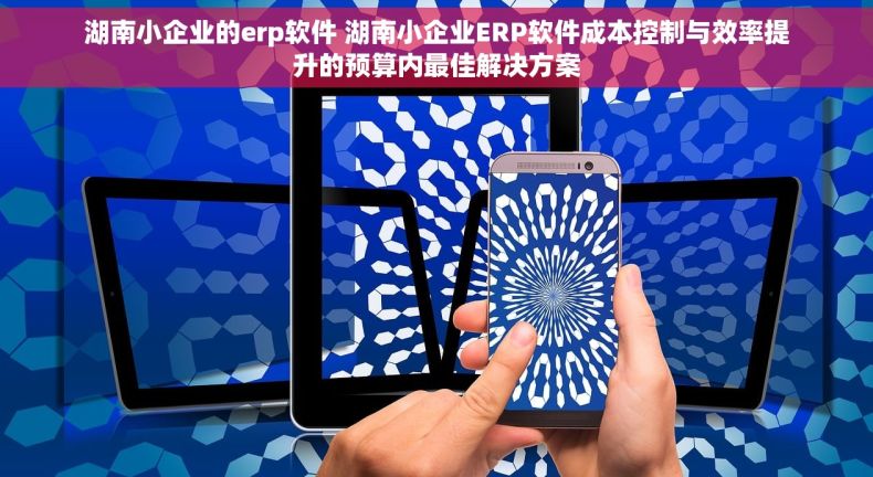 湖南小企业的erp软件 湖南小企业ERP软件成本控制与效率提升的预算内最佳解决方案