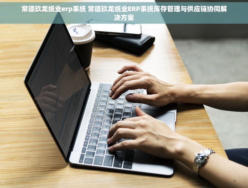 常德玖龙纸业erp系统 常德玖龙纸业ERP系统库存管理与供应链协同解决方案