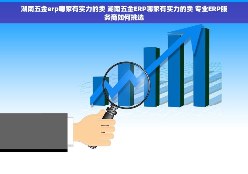 湖南五金erp哪家有实力的卖 湖南五金ERP哪家有实力的卖 专业ERP服务商如何挑选