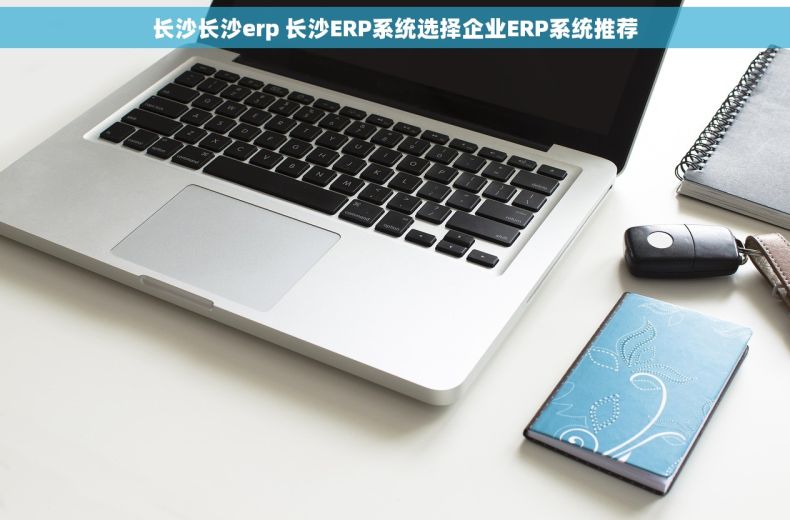 长沙长沙erp 长沙ERP系统选择企业ERP系统推荐
