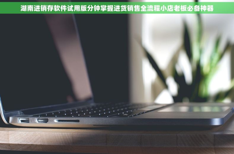 湖南进销存软件试用版分钟掌握进货销售全流程小店老板必备神器