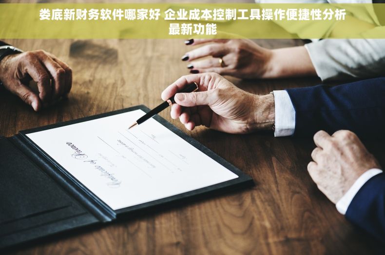 娄底新财务软件哪家好 企业成本控制工具操作便捷性分析最新功能