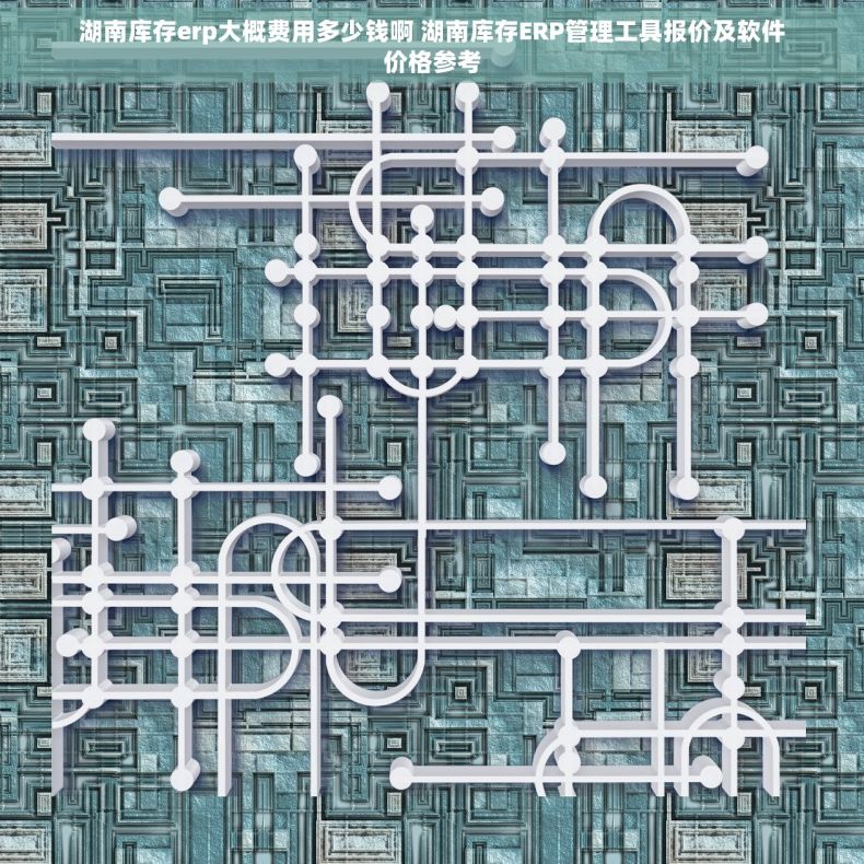 湖南库存erp大概费用多少钱啊 湖南库存ERP管理工具报价及软件价格参考