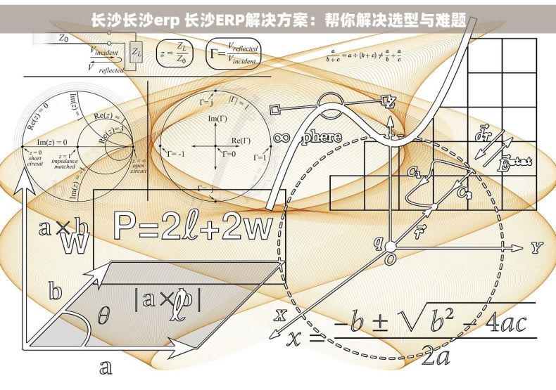 长沙长沙erp 长沙ERP解决方案：帮你解决选型与难题
