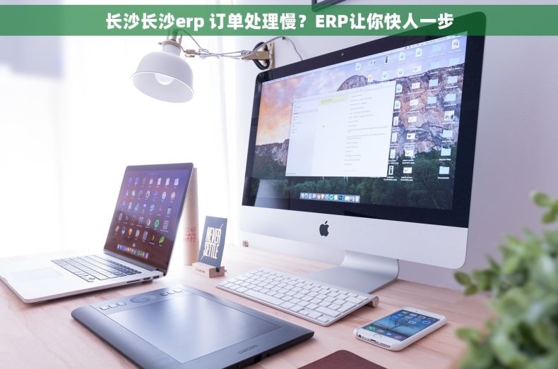 长沙长沙erp 订单处理慢？ERP让你快人一步