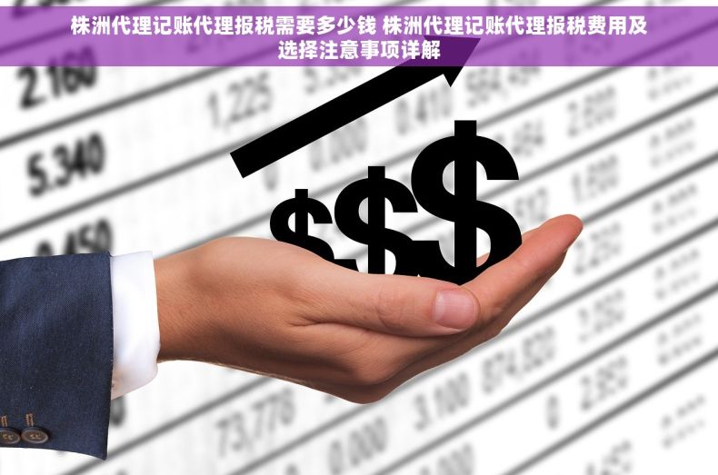 株洲代理记账代理报税需要多少钱 株洲代理记账代理报税费用及选择注意事项详解