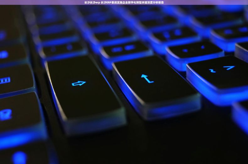 长沙长沙erp 长沙ERP系统实施企业数字化转型关键深度分析报告