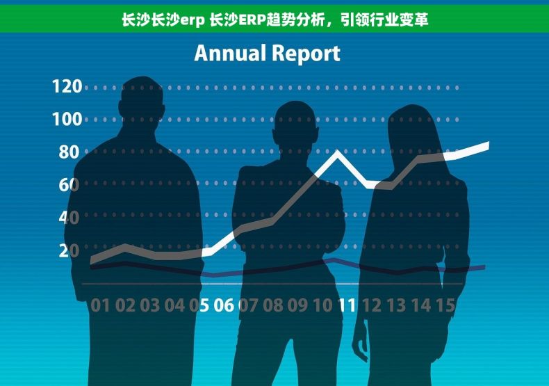 长沙长沙erp 长沙ERP趋势分析，引领行业变革