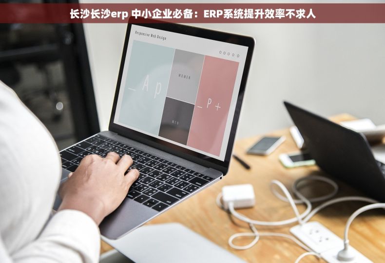 长沙长沙erp 中小企业必备：ERP系统提升效率不求人
