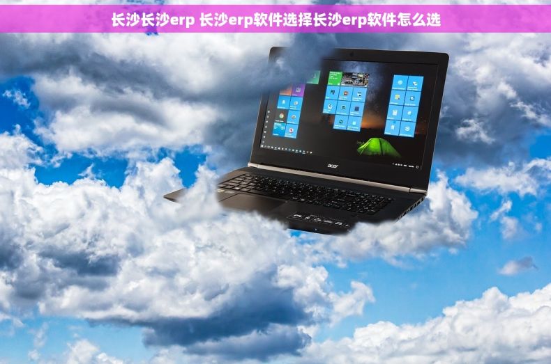 长沙长沙erp 长沙erp软件选择长沙erp软件怎么选