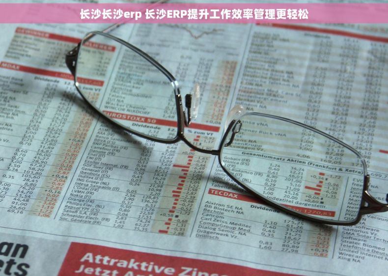 长沙长沙erp 长沙ERP提升工作效率管理更轻松