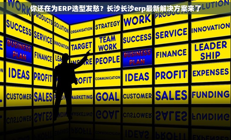你还在为ERP选型发愁？长沙长沙erp最新解决方案来了