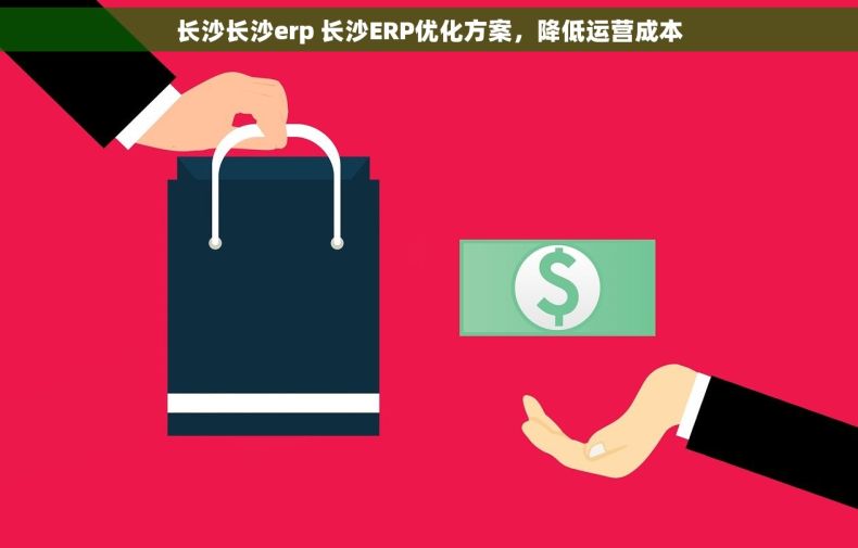 长沙长沙erp 长沙ERP优化方案，降低运营成本