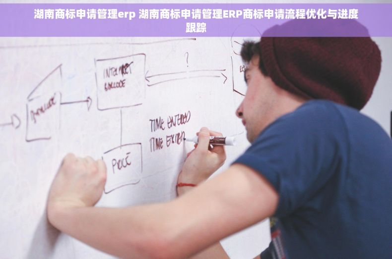 湖南商标申请管理erp 湖南商标申请管理ERP商标申请流程优化与进度跟踪