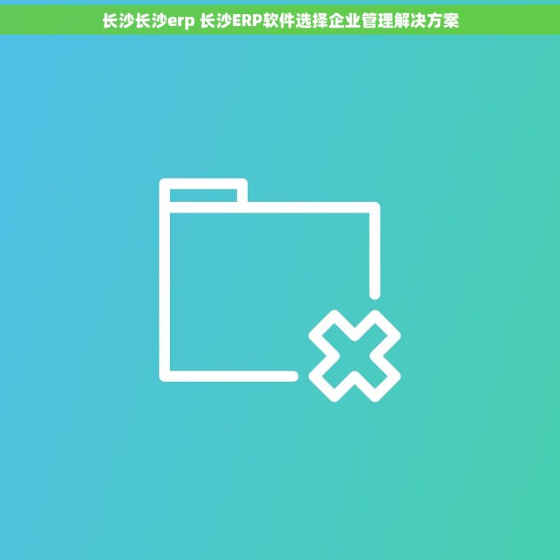 长沙长沙erp 长沙ERP软件选择企业管理解决方案