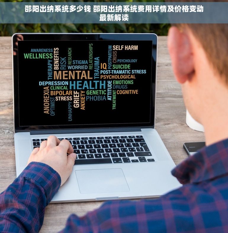 邵阳出纳系统多少钱 邵阳出纳系统费用详情及价格变动最新解读