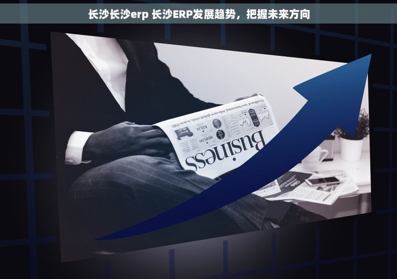 长沙长沙erp 长沙ERP发展趋势，把握未来方向