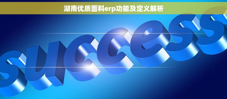 湖南优质面料erp功能及定义解析