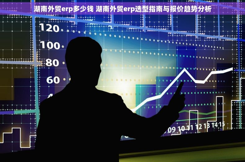 湖南外贸erp多少钱 湖南外贸erp选型指南与报价趋势分析