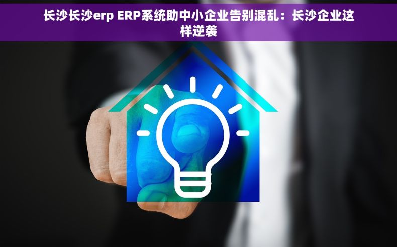 长沙长沙erp ERP系统助中小企业告别混乱：长沙企业这样逆袭