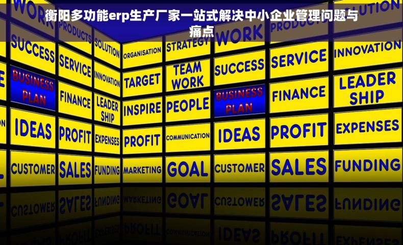衡阳多功能erp生产厂家一站式解决中小企业管理问题与痛点