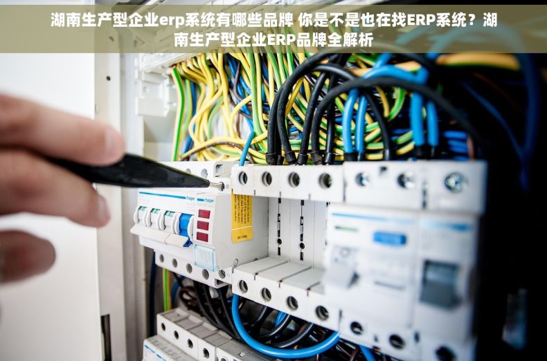 湖南生产型企业erp系统有哪些品牌 你是不是也在找ERP系统？湖南生产型企业ERP品牌全解析
