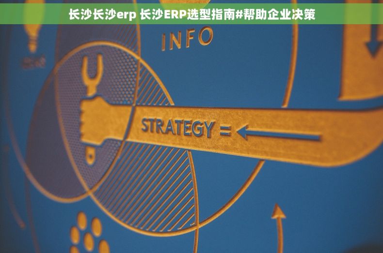 长沙长沙erp 长沙ERP选型指南#帮助企业决策