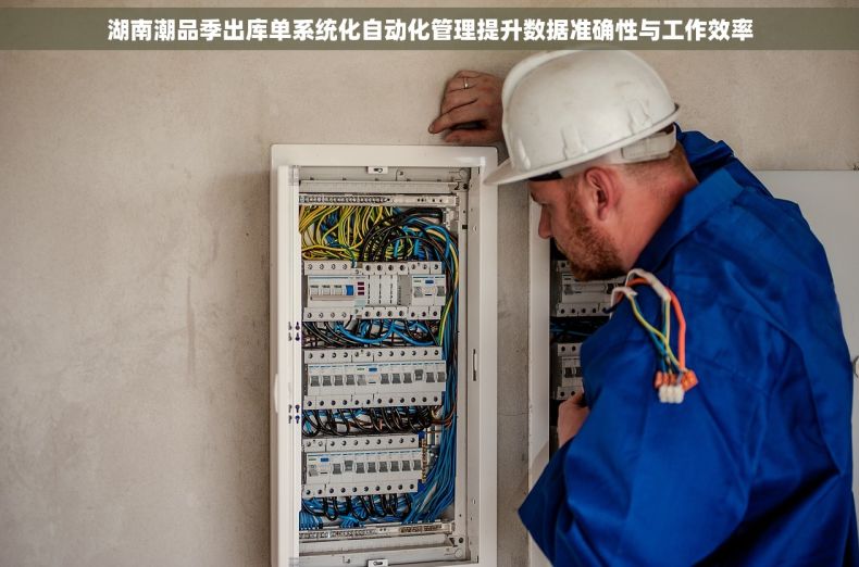 湖南潮品季出库单系统化自动化管理提升数据准确性与工作效率