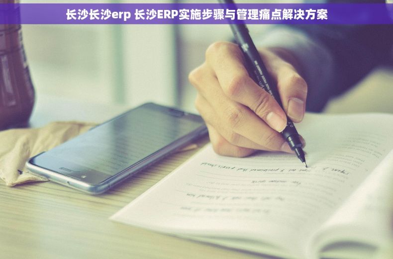 长沙长沙erp 长沙ERP实施步骤与管理痛点解决方案