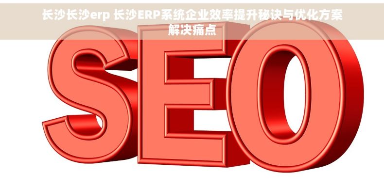 长沙长沙erp 长沙ERP系统企业效率提升秘诀与优化方案解决痛点