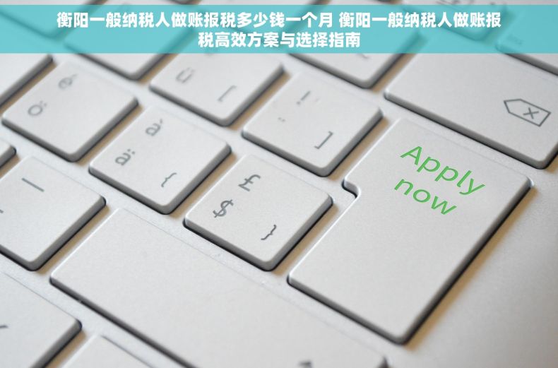衡阳一般纳税人做账报税多少钱一个月 衡阳一般纳税人做账报税高效方案与选择指南