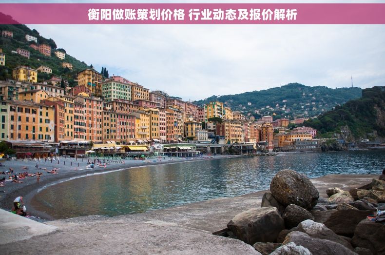 衡阳做账策划价格 行业动态及报价解析