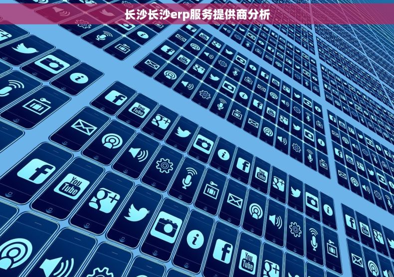 长沙长沙erp服务提供商分析