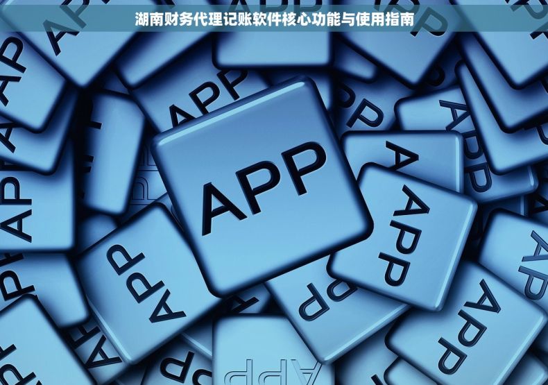 湖南财务代理记账软件核心功能与使用指南
