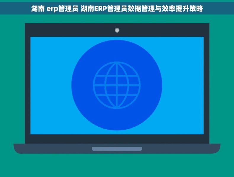 湖南 erp管理员 湖南ERP管理员数据管理与效率提升策略