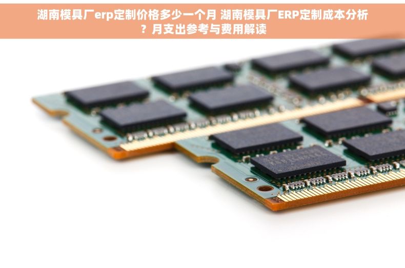 湖南模具厂erp定制价格多少一个月 湖南模具厂ERP定制成本分析？月支出参考与费用解读