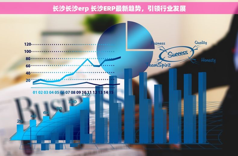 长沙长沙erp 长沙ERP最新趋势，引领行业发展