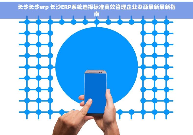 长沙长沙erp 长沙ERP系统选择标准高效管理企业资源最新最新指南