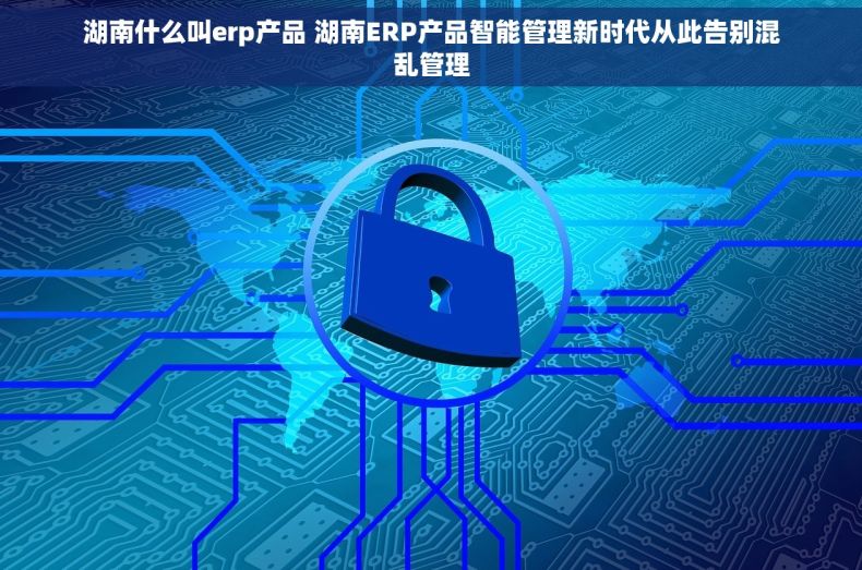 湖南什么叫erp产品 湖南ERP产品智能管理新时代从此告别混乱管理