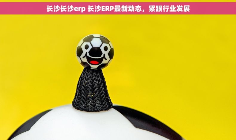 长沙长沙erp 长沙ERP最新动态，紧跟行业发展