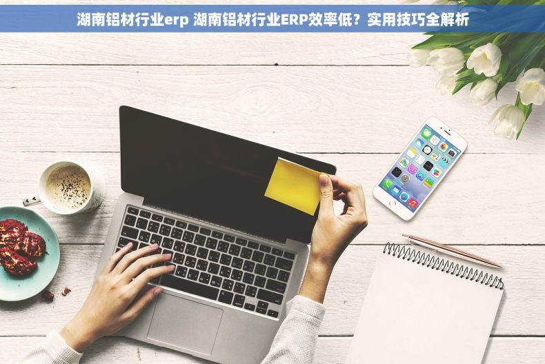 湖南铝材行业erp 湖南铝材行业ERP效率低？实用技巧全解析