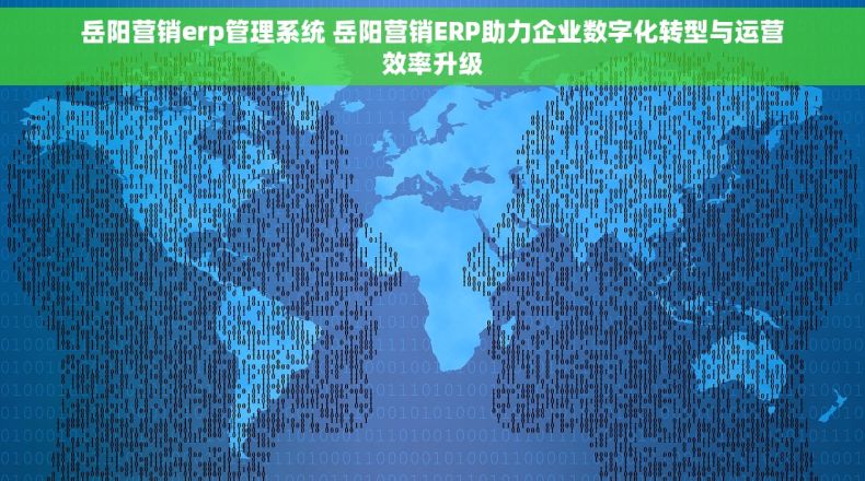 岳阳营销erp管理系统 岳阳营销ERP助力企业数字化转型与运营效率升级