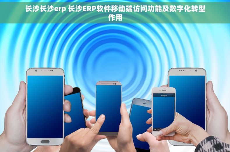 长沙长沙erp 长沙ERP软件移动端访问功能及数字化转型作用