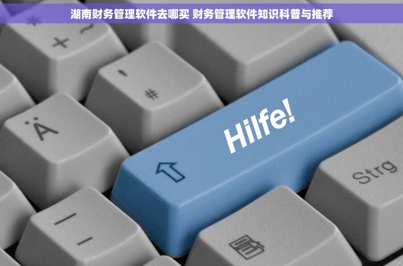 湖南财务管理软件去哪买 财务管理软件知识科普与推荐