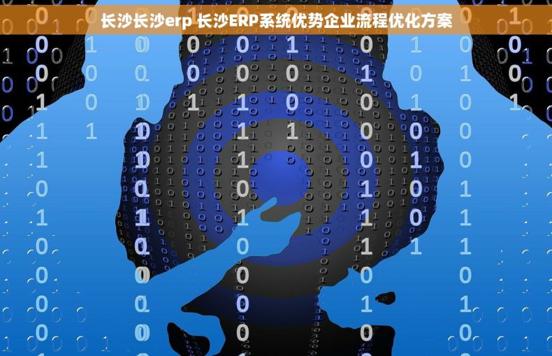 长沙长沙erp 长沙ERP系统优势企业流程优化方案