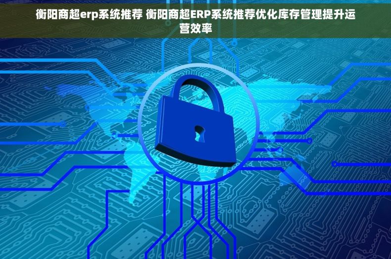 衡阳商超erp系统推荐 衡阳商超ERP系统推荐优化库存管理提升运营效率
