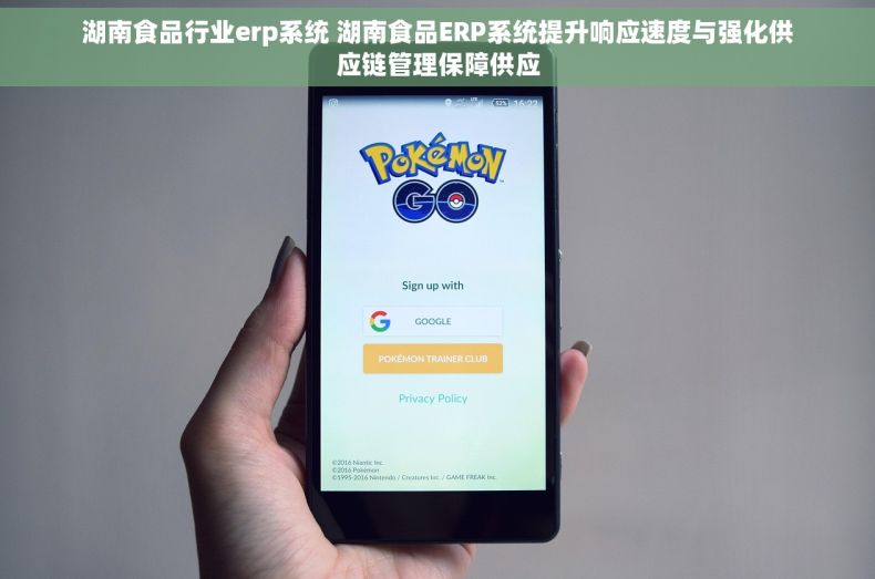 湖南食品行业erp系统 湖南食品ERP系统提升响应速度与强化供应链管理保障供应
