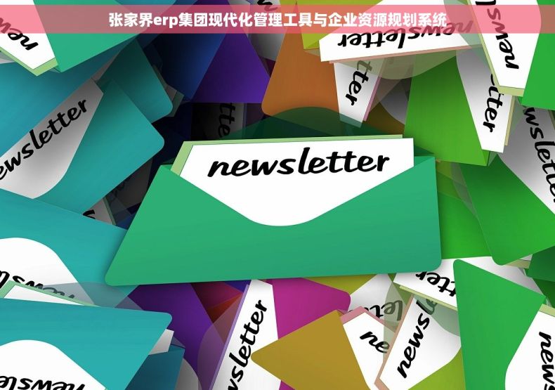 张家界erp集团现代化管理工具与企业资源规划系统