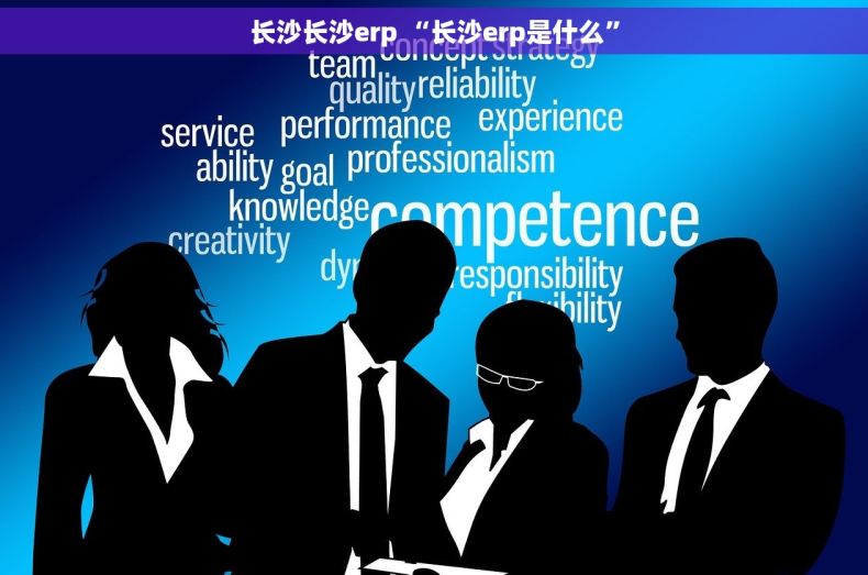 长沙长沙erp “长沙erp是什么”