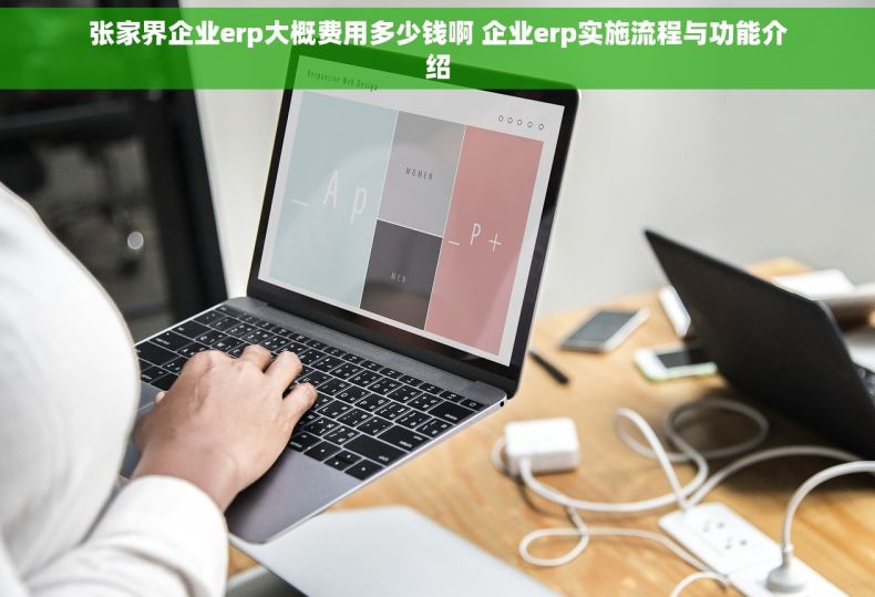 张家界企业erp大概费用多少钱啊 企业erp实施流程与功能介绍